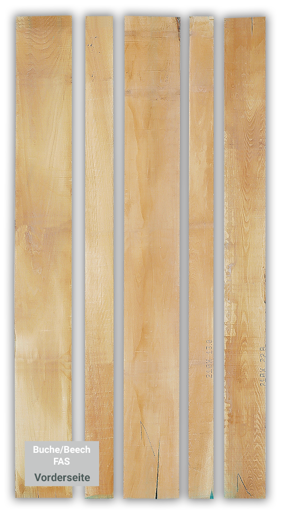 Buche parallel besäumt