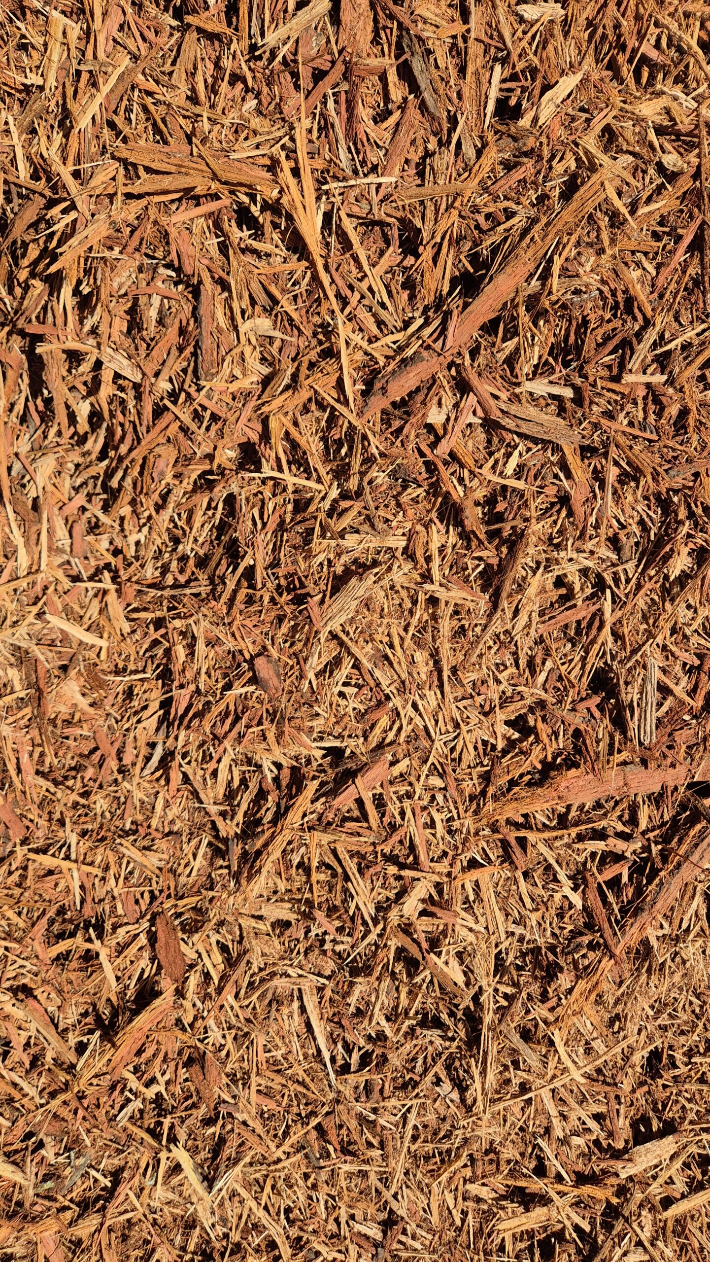 Rindenmulch auf einem Haufen