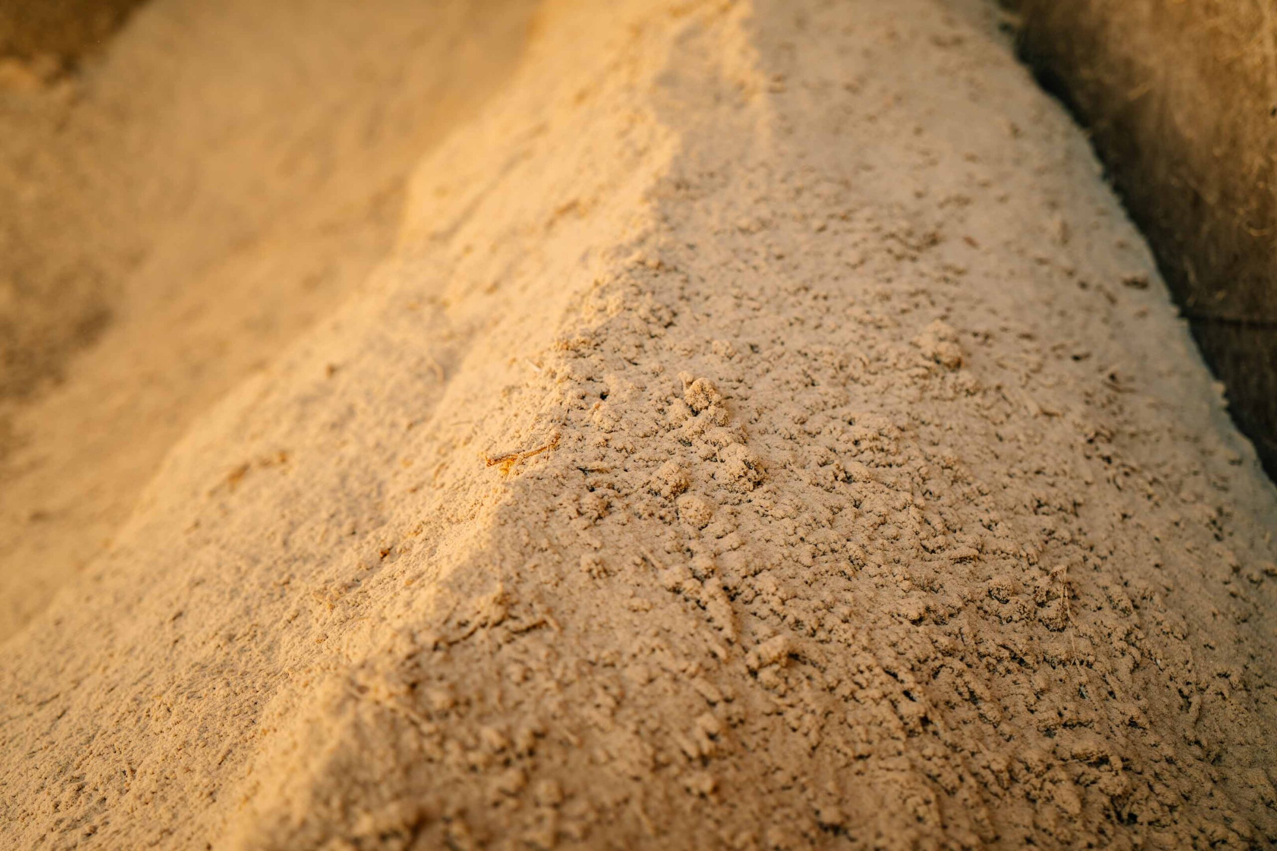 Sägespäne auf einem Haufen