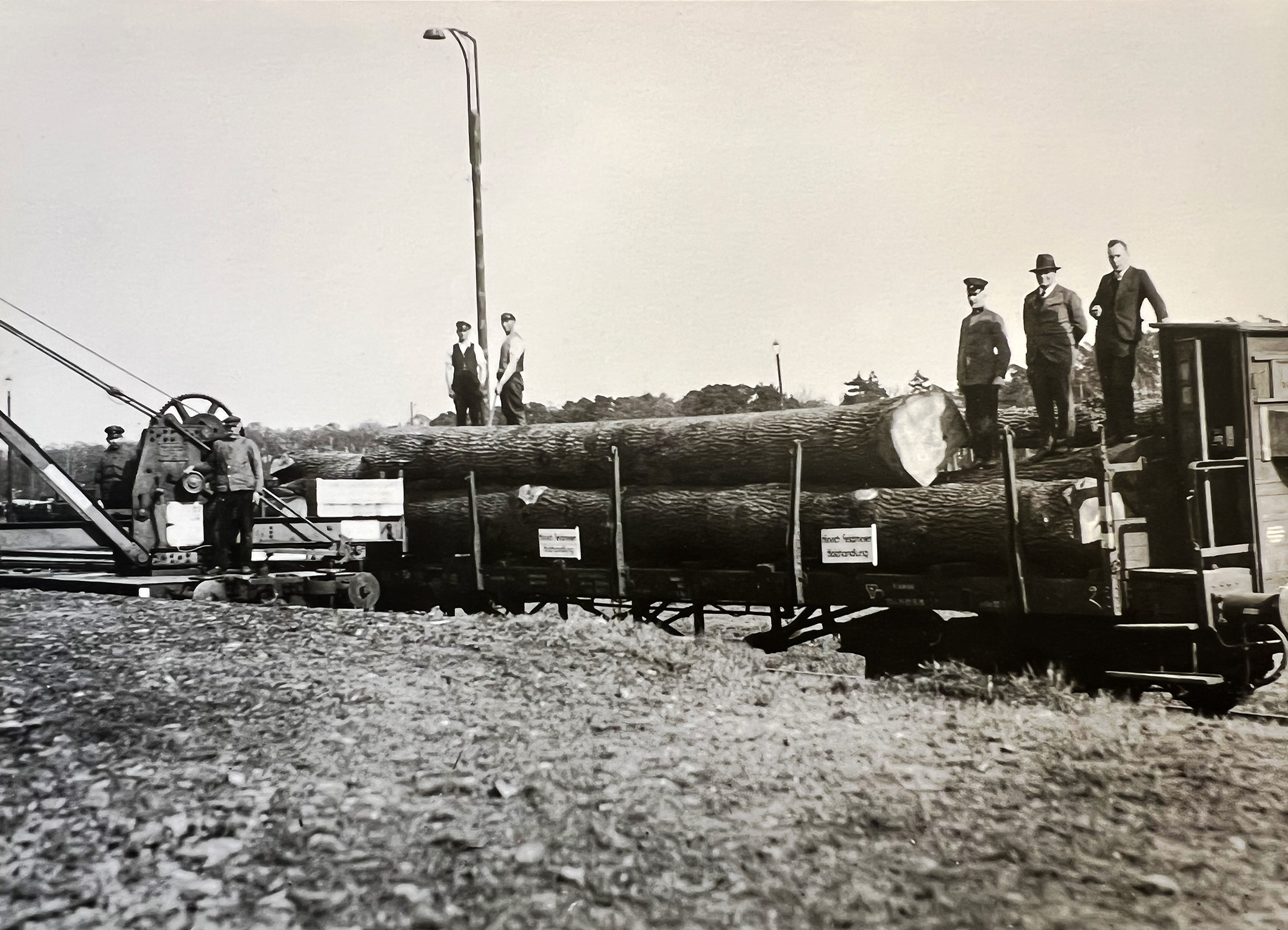 Eichenholz am Bahnhof in Rotenburg