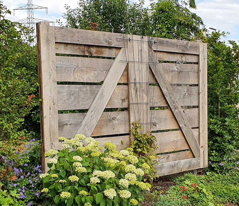 Rankgitter aus Eiche Antik