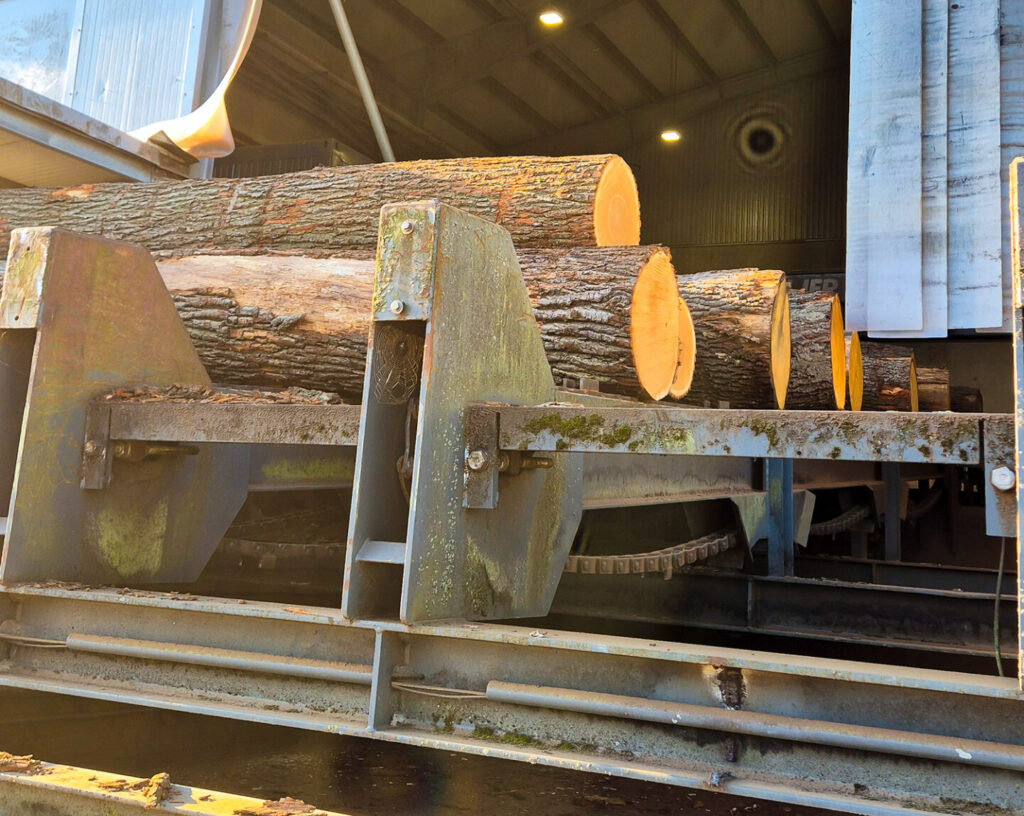 Baumstämme in der Entrindungsanlage