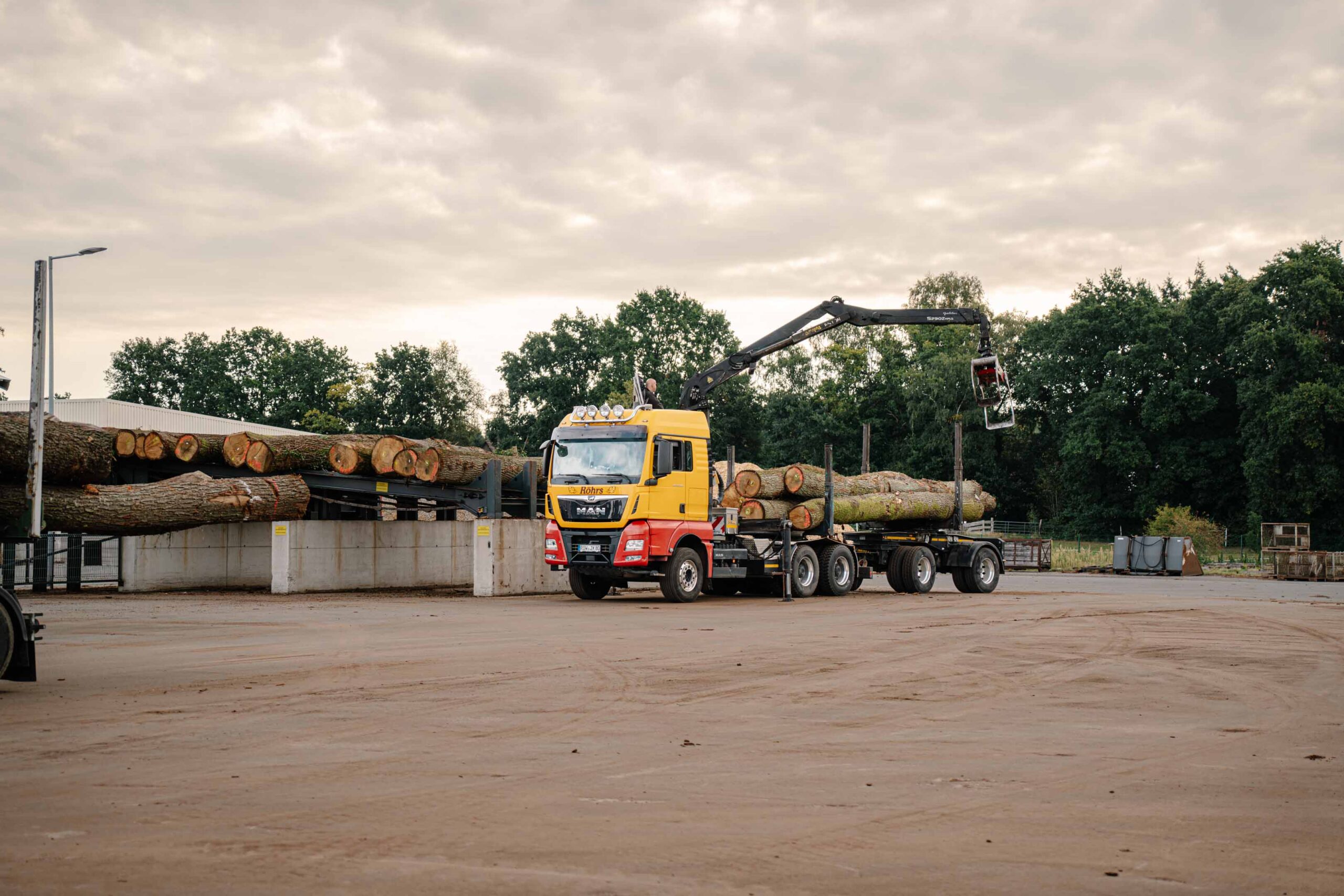 Holz wird bei der Kappanlage angeliefert