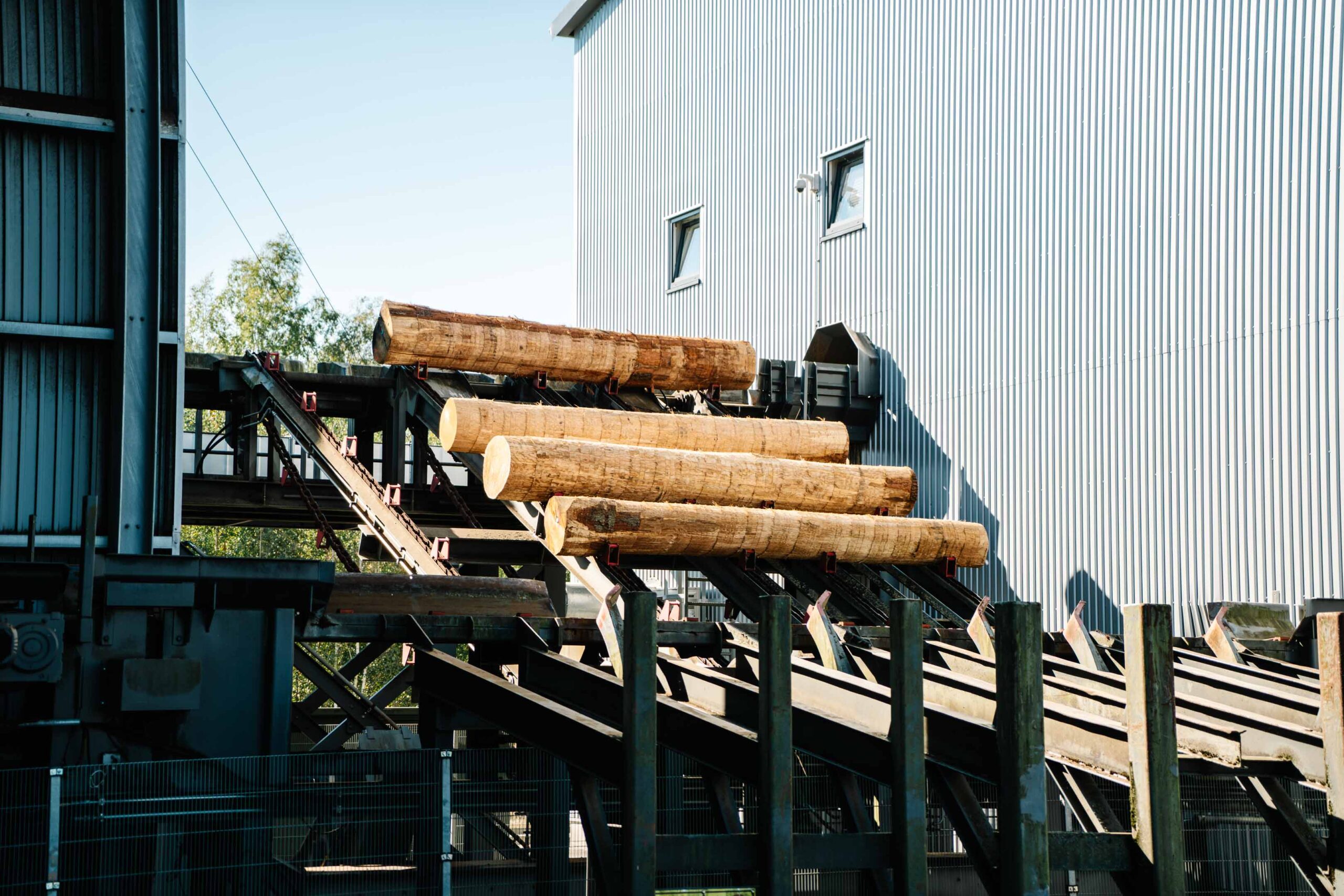 Stämme kommen fertig entrindet aus der Entrindungsstation