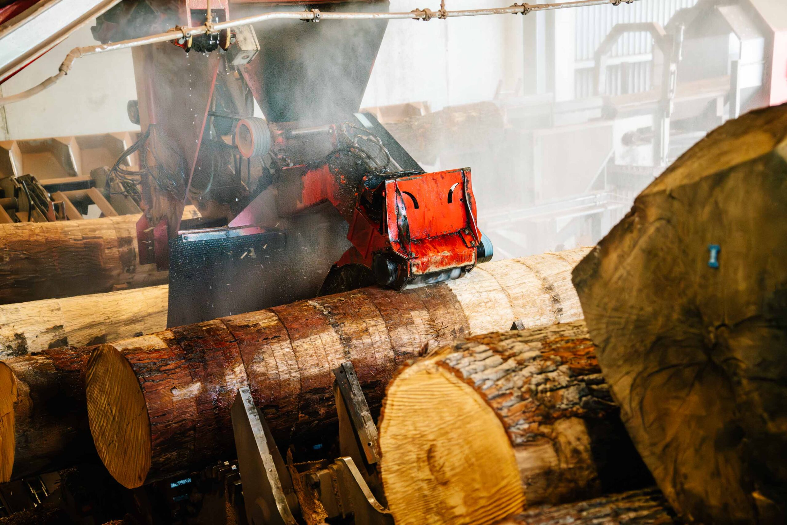 Ein Baumstamm wird von der Maschine entrindet
