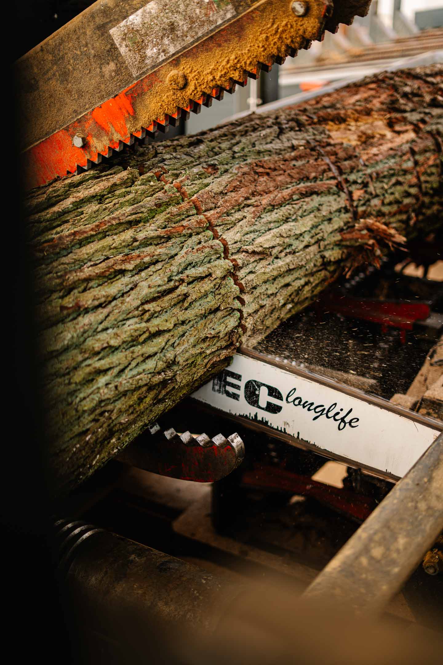 Holz wird an der Kappanlage gekappt