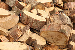 Ein Haufen mit Stammabschnitten