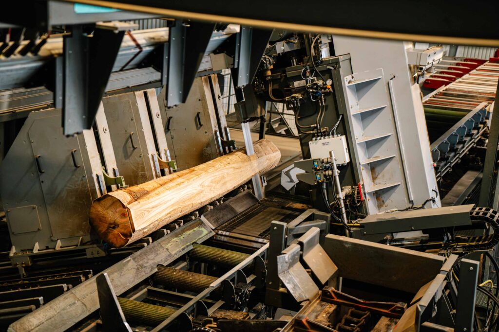 Blick in das neue Sägewerk