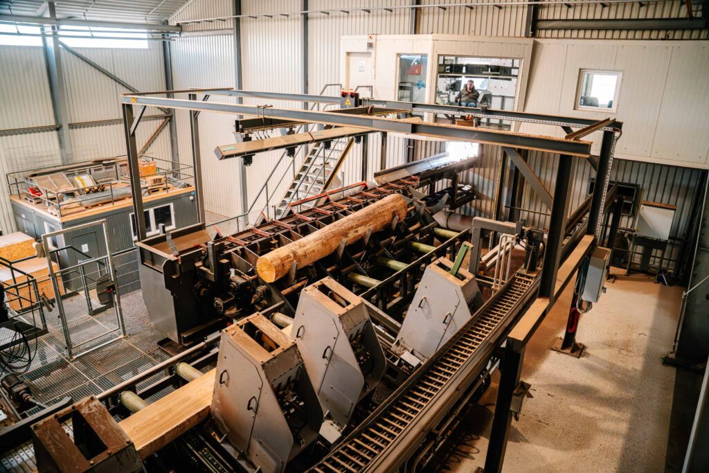 Blick in das neue Sägewerk
