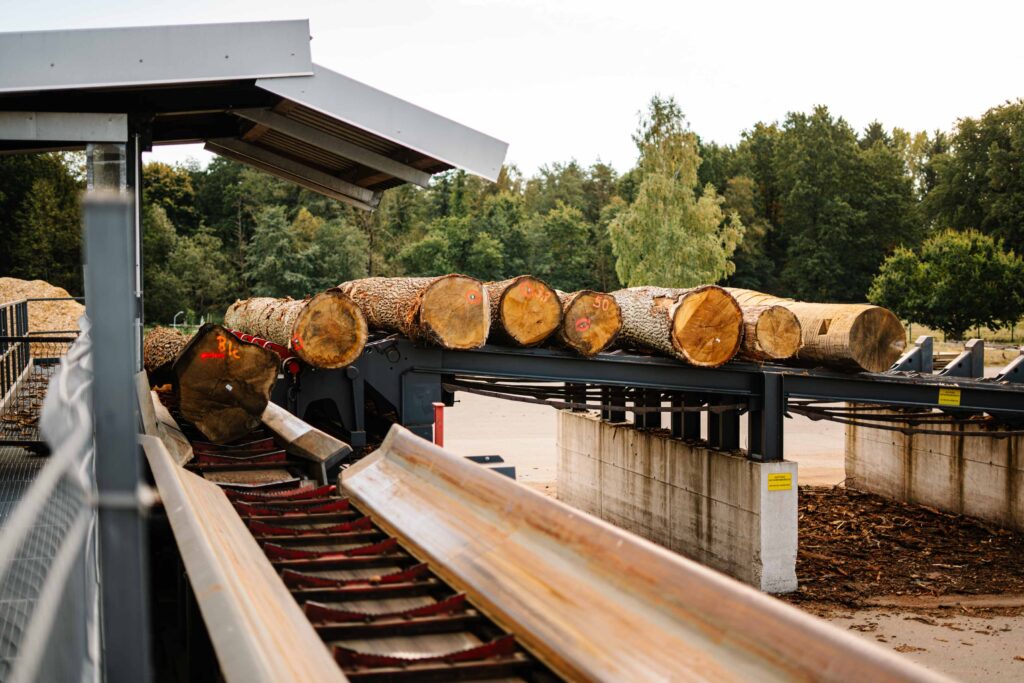 Die Rundholzablängstation